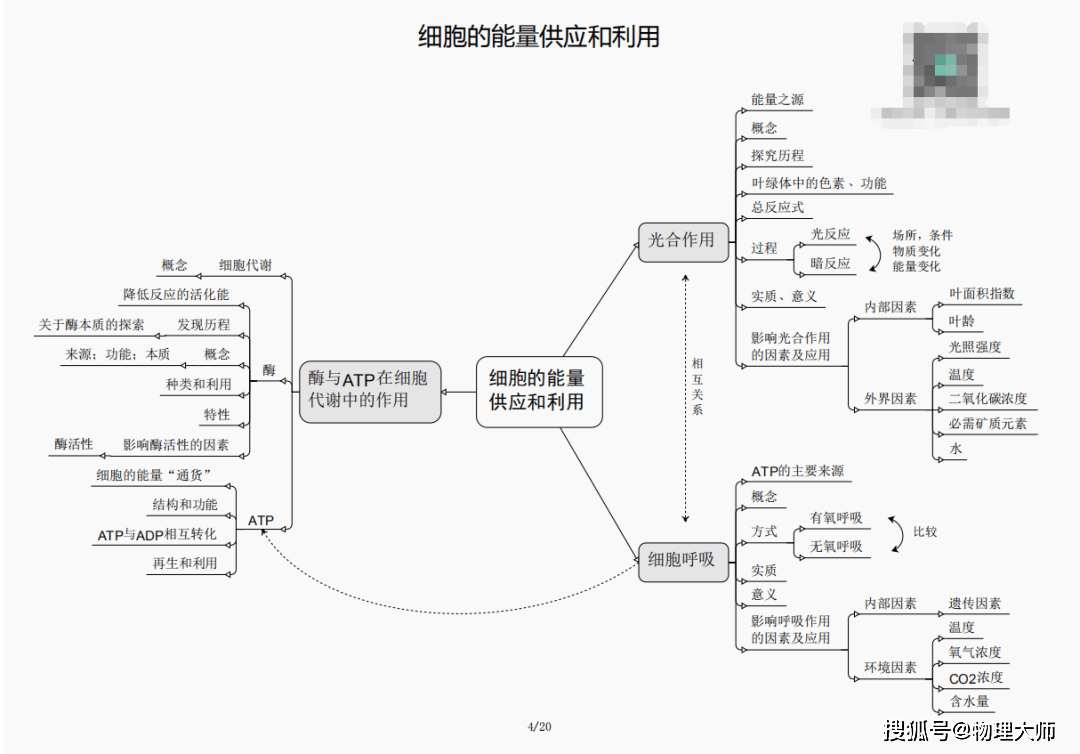 白小姐三肖三期必出一期开奖,警惕白小姐三肖三期必出一期开奖——揭示背后的犯罪风险