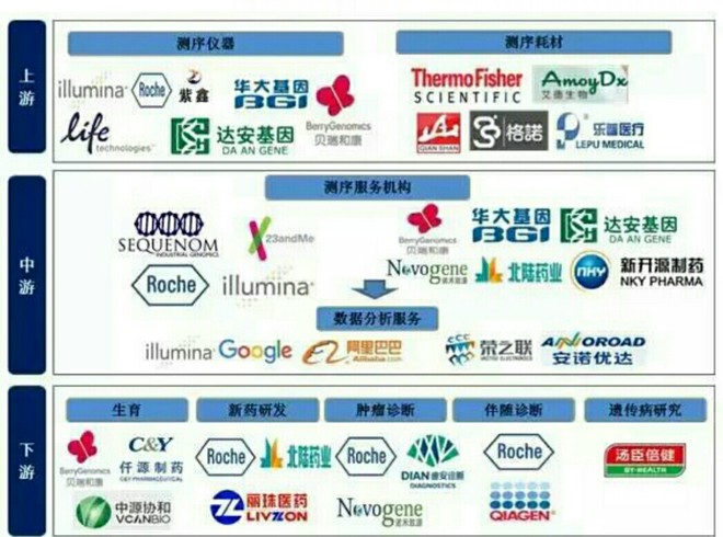 新奥内部最准资料,新奥内部最准资料深度解析