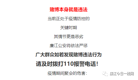 澳门正版资料全年免费公开精准资料一,澳门正版资料全年免费公开精准资料一，揭示违法犯罪问题的重要性与应对之道