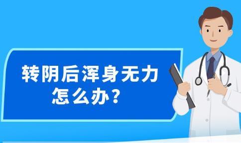 新澳内部资料精准大全,新澳内部资料精准大全，揭秘背后的风险与犯罪问题