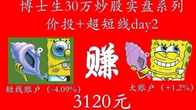 管家婆一码一肖100%063期 02-07-12-14-15-21N：02,管家婆一码一肖，揭秘神秘预测背后的故事（第063期分析与预测）