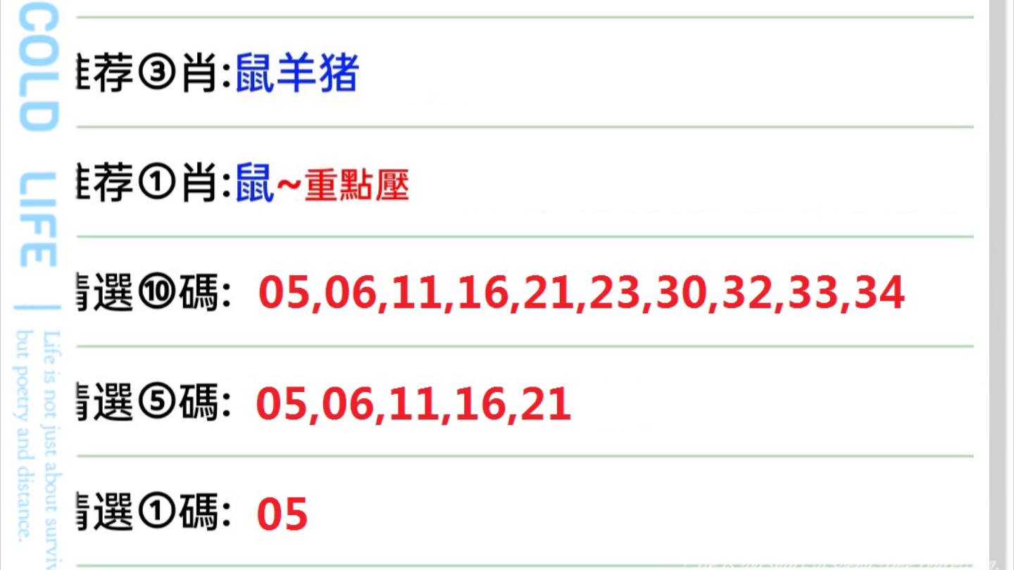 2025澳门特马查询086期 06-22-28-38-40-49A：17,澳门特马查询，探索086期的奥秘（2025年）