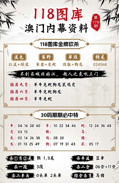 2024澳门正版资料免费大全005期 03-11-14-15-28-44G：46,探索澳门正版资料之迷，2024澳门正版资料免费大全第005期揭秘